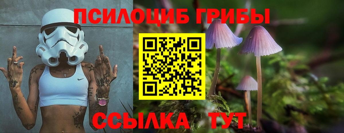 Лысьва  Псилоцибиновые грибы Psilocybe  Вход с VPN 