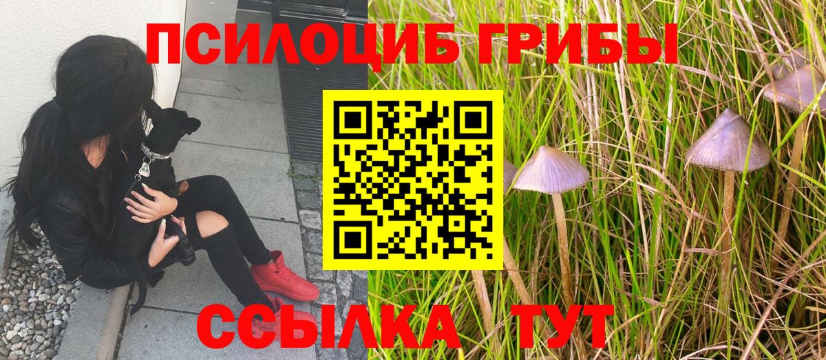 Галлюциногенные грибы Magic Shrooms Лысьва